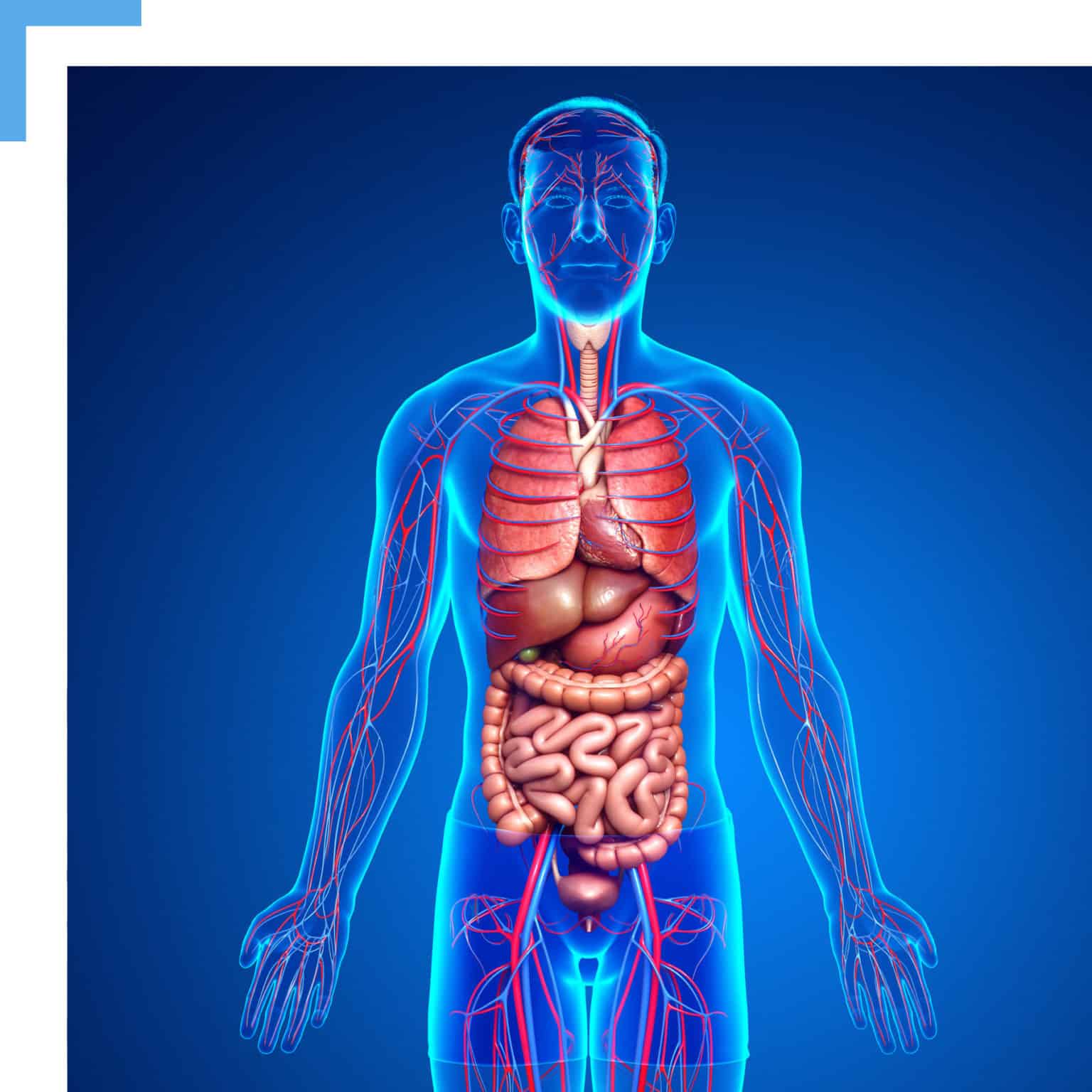 Vendor-Neutral Enterprise Surgery Platform - Surgical Technology